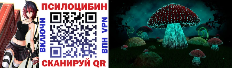 Псилоцибиновые грибы Cubensis Красновишерск